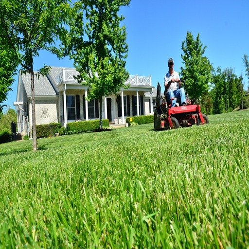 Supercharge Your Growth: Legit Exposure's Lead Generation for Lawn Care and Landscaping Companies